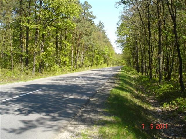 DSC09591 (Small)