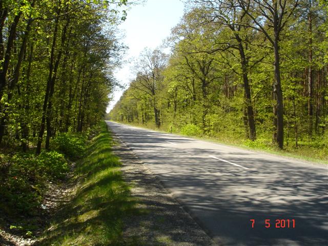 DSC09593 (Small)