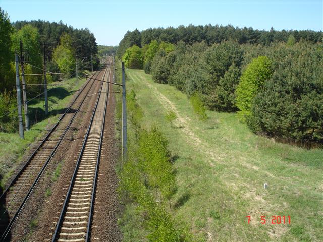 DSC09596 (Small)