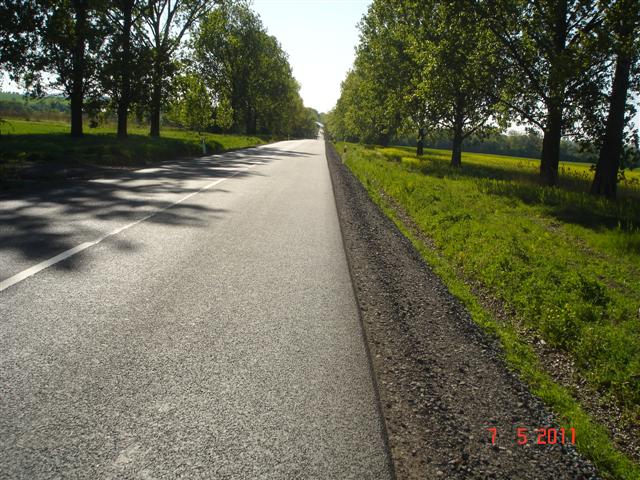 DSC09608 (Small)
