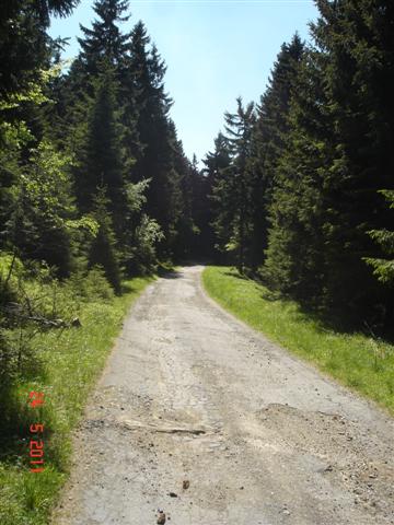 Zmierzamy ku górze.