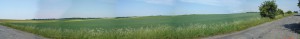 Panorama - okolice Dobroszyc Panorama - okolice Dobroszyc