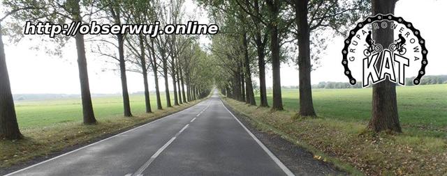 http://obserwuj.online