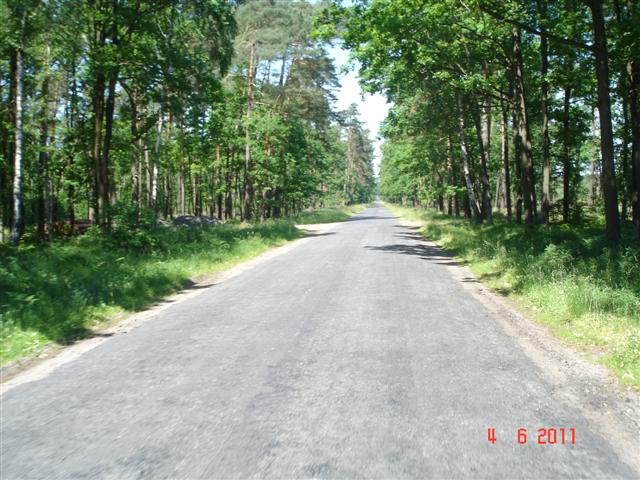 Lasy koło Wołowa