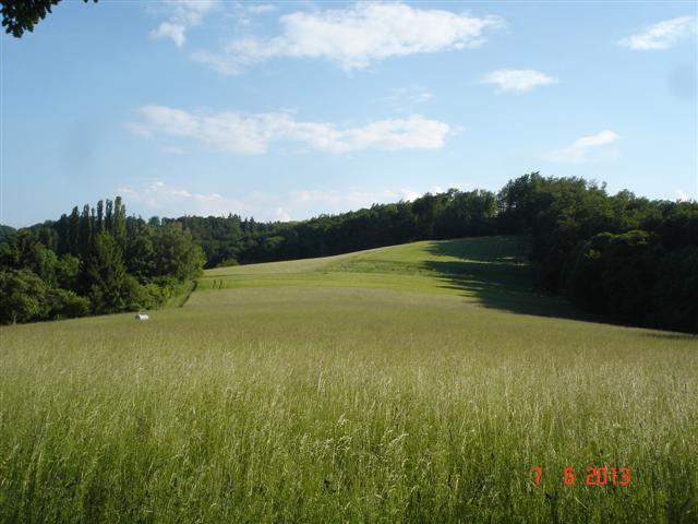 Po drodze