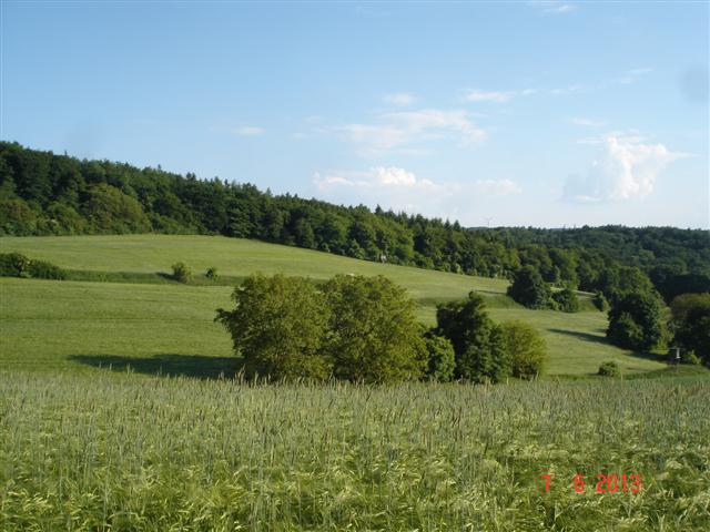Po drodze