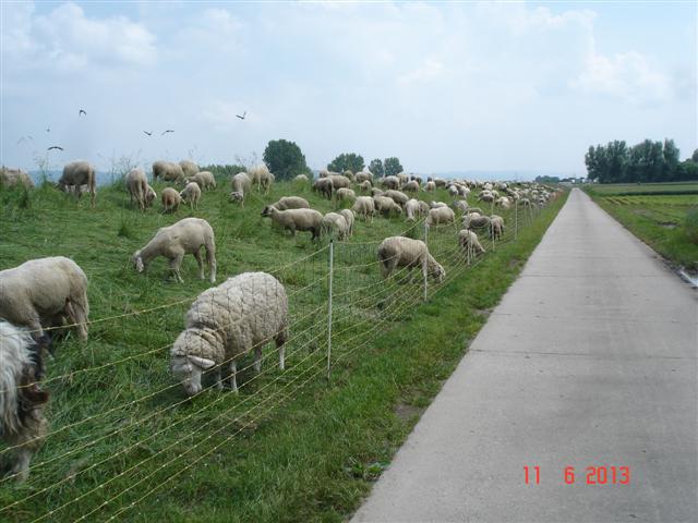 BergStrasse
