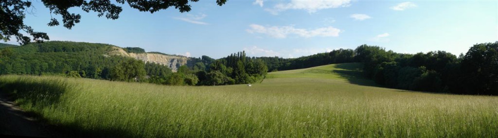 Panorama w okolicach Muehltal - kliknij, aby powiększyć