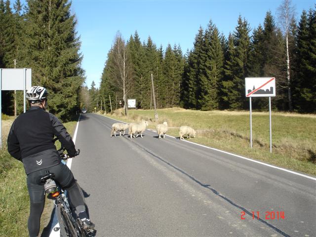 DSC07810 (Small)