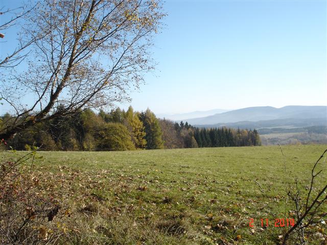 DSC07811 (Small)