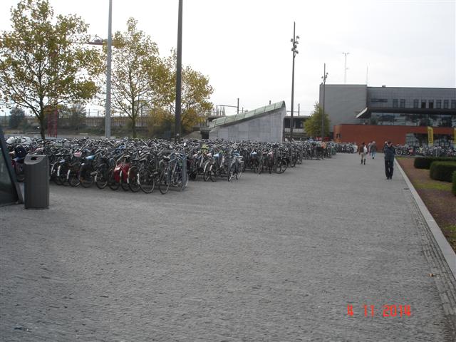 DSC07837 (Small)