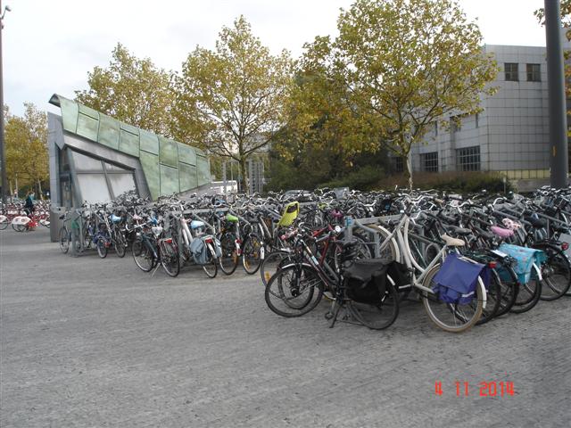 DSC07838 (Small)