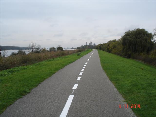 DSC07864 (Small)