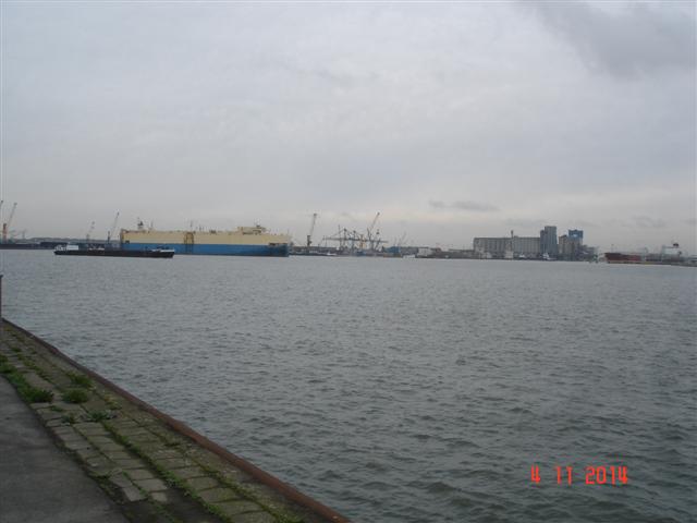 DSC07871 (Small)