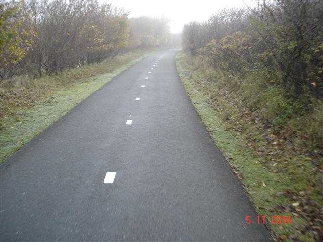 DSC07909 (Small)