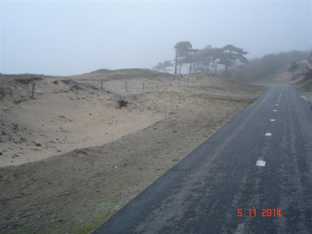 DSC07911 (Small)