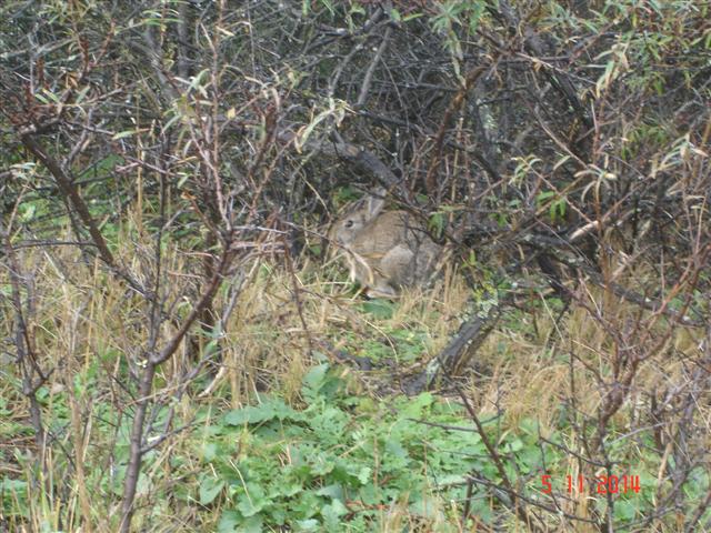 DSC07920 (Small)