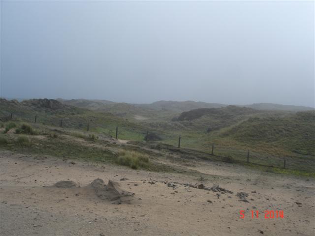 DSC07921 (Small)